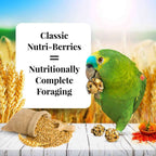 Parrot Food product image 4