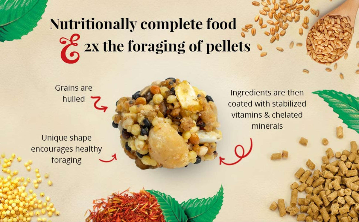 Parrot Food product image 6