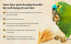 Parrot Food product image 7