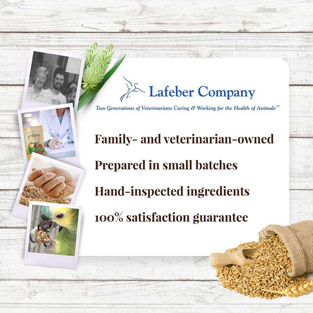 Parrot Food product image 10