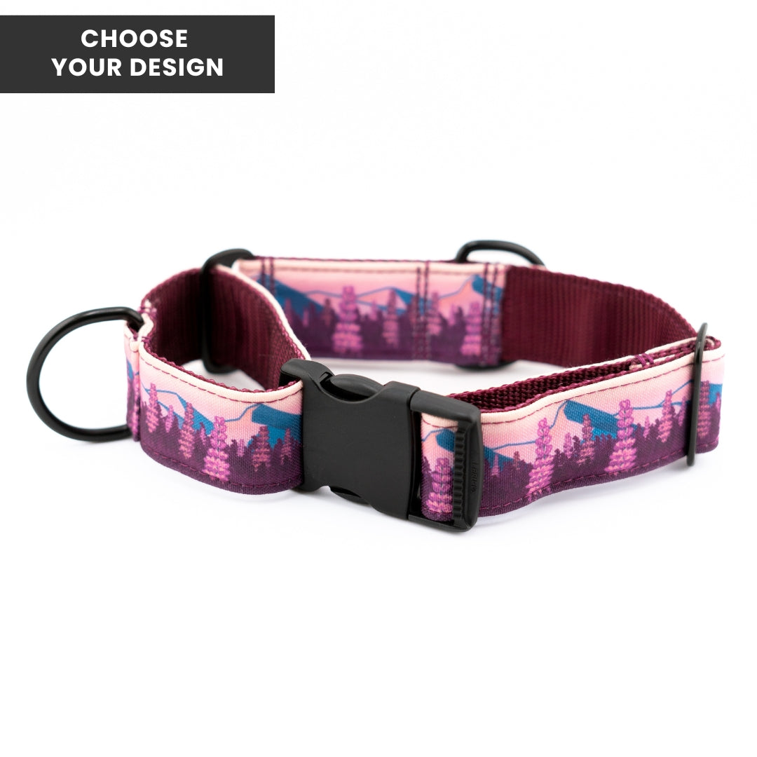 Martingale Dog Collar product image 1