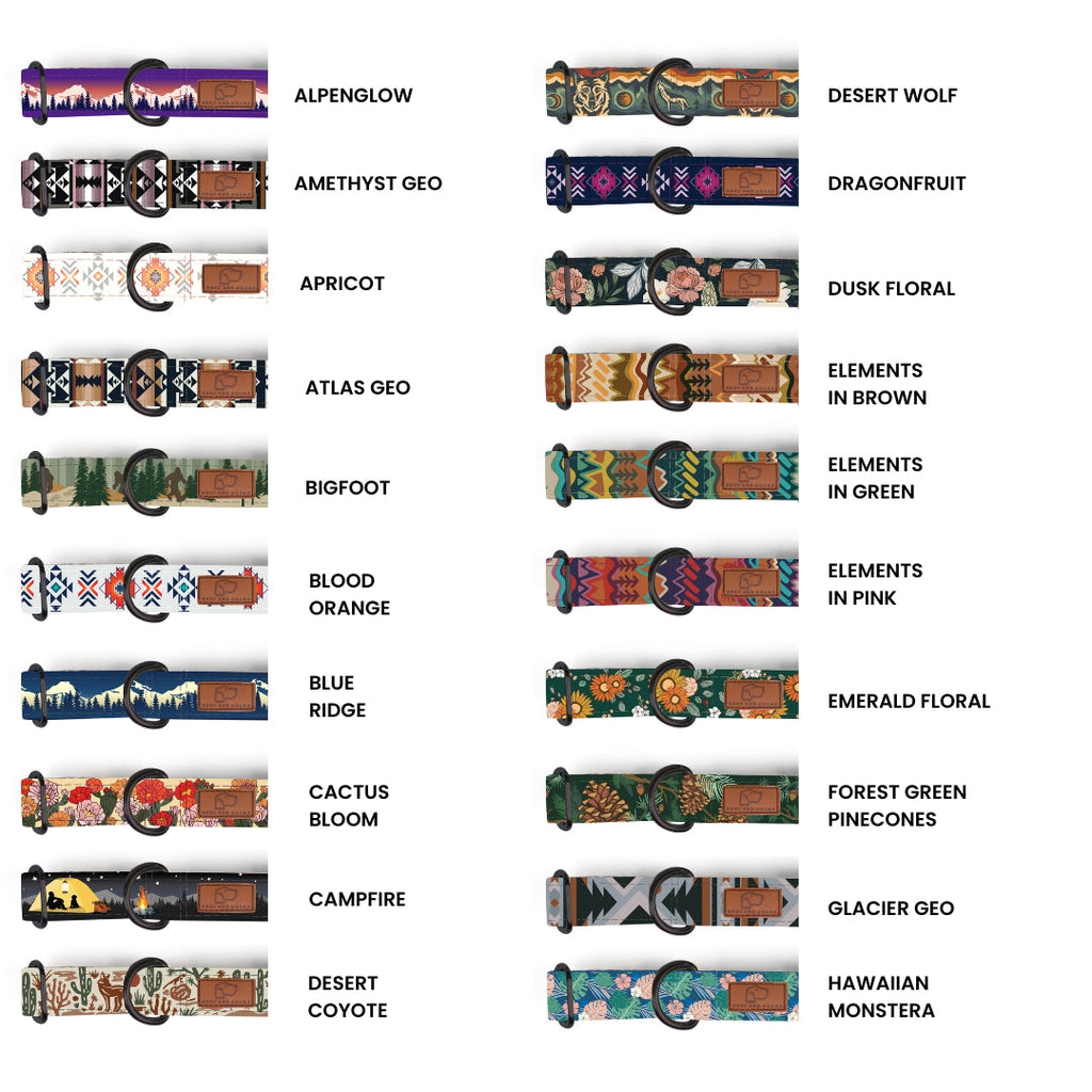 Martingale Dog Collar product image 3