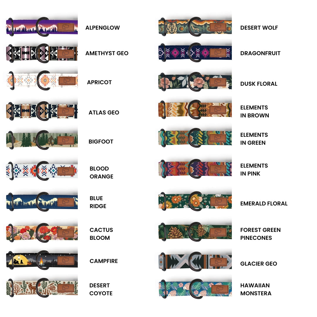 Martingale Dog Collar product image 3