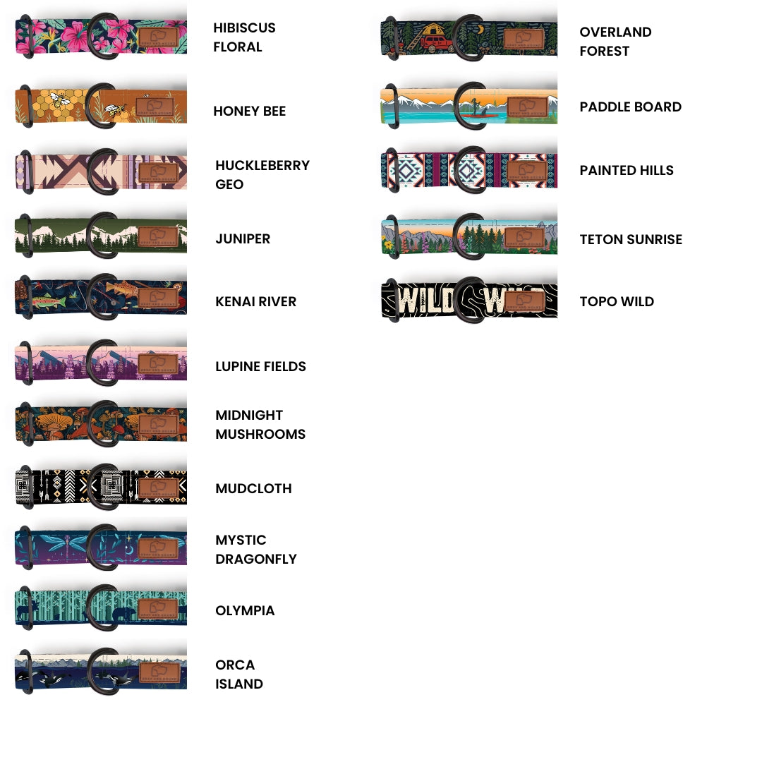 Martingale Dog Collar product image 4