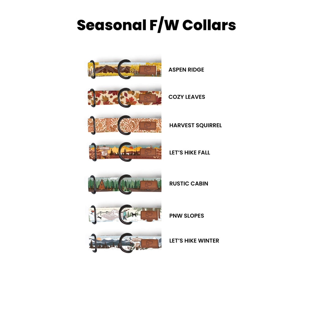 Martingale Dog Collar product image 5