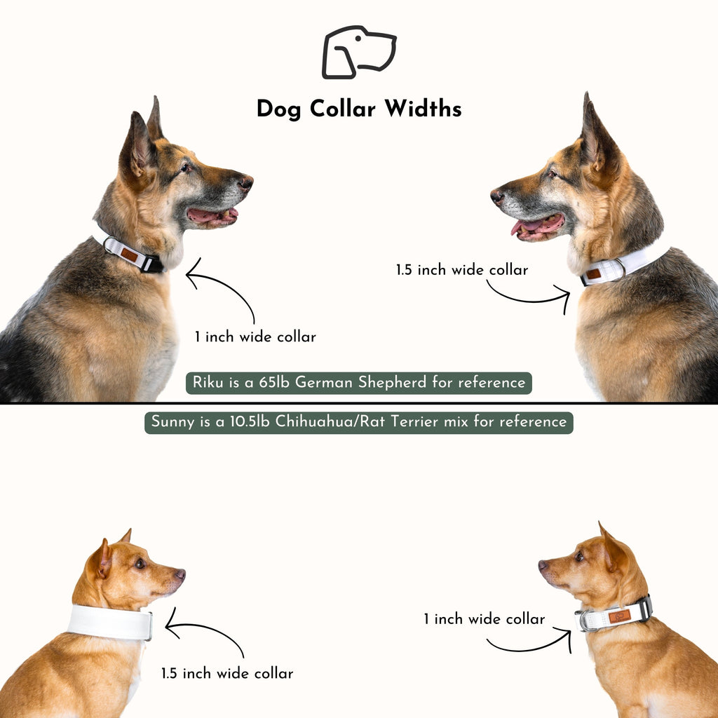 Martingale Dog Collar product image 7