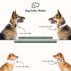 Martingale Dog Collar product image 7