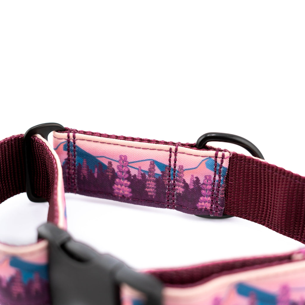Martingale Dog Collar product image 8