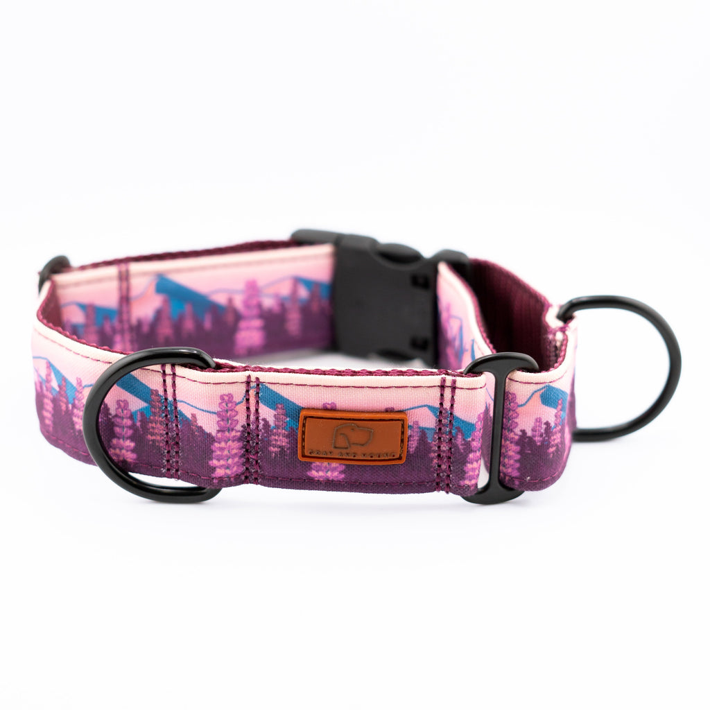 Martingale Dog Collar product image 9