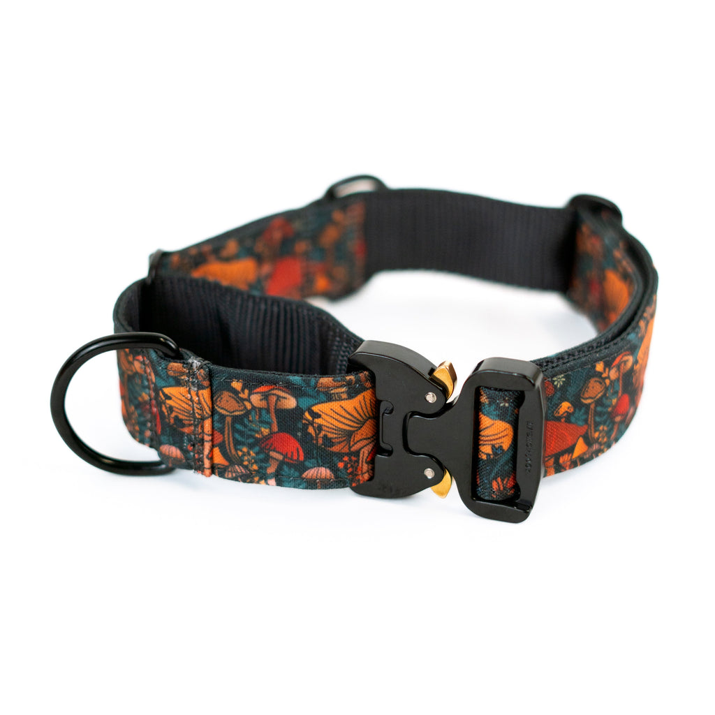 Martingale Dog Collar product image 10