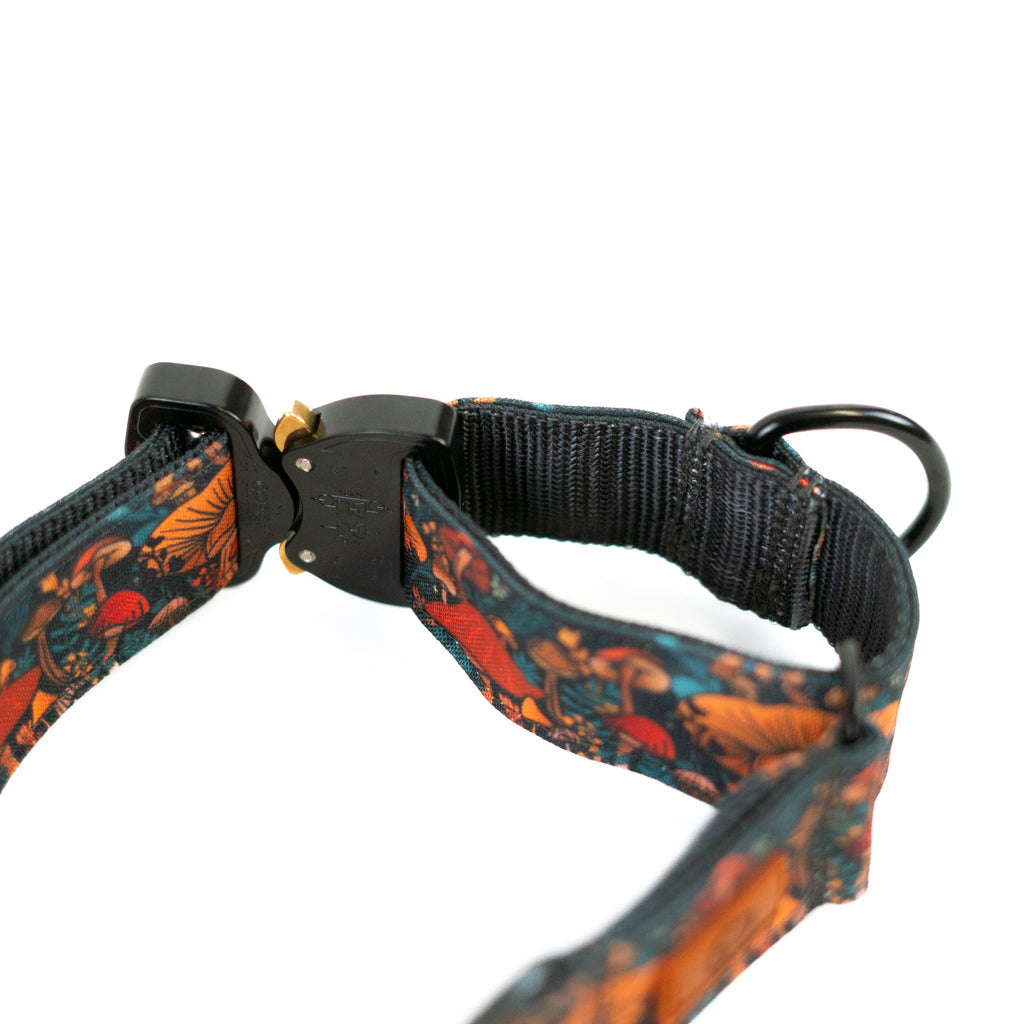 Martingale Dog Collar product image 11