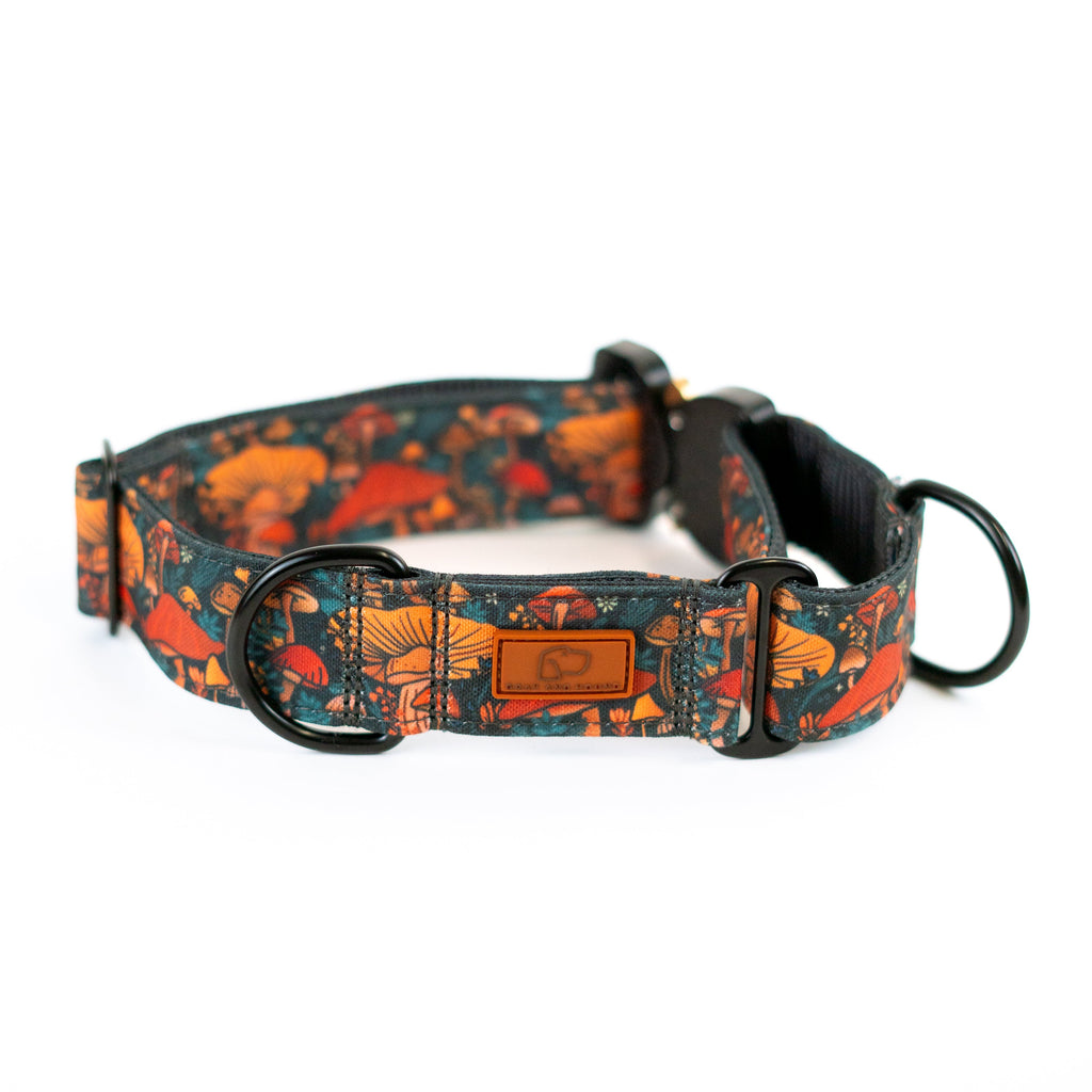 Martingale Dog Collar product image 12