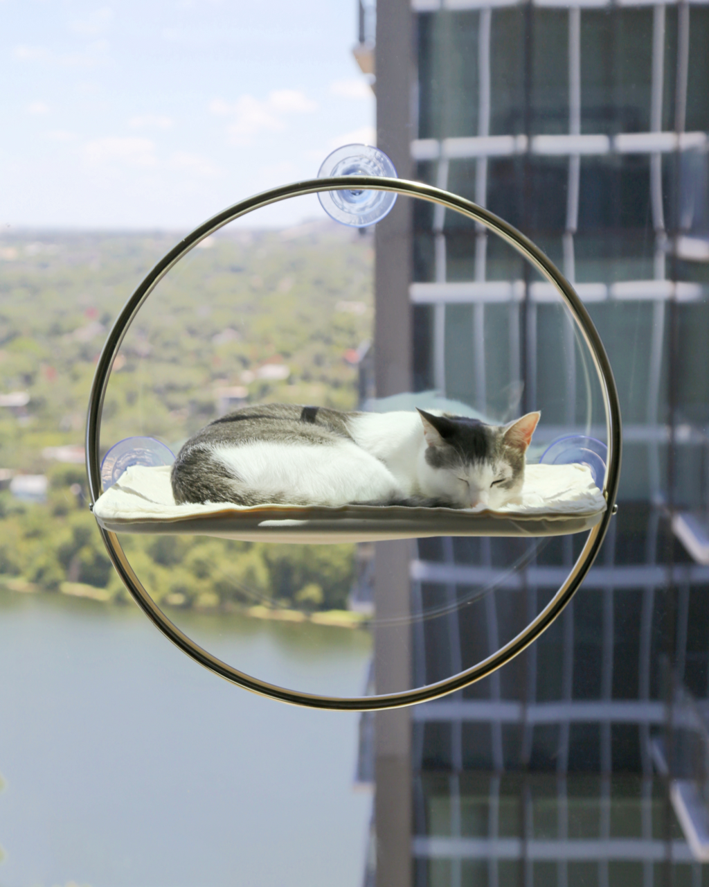 Cat Window Hammock product image 1