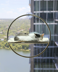 Cat Window Hammock product image 1