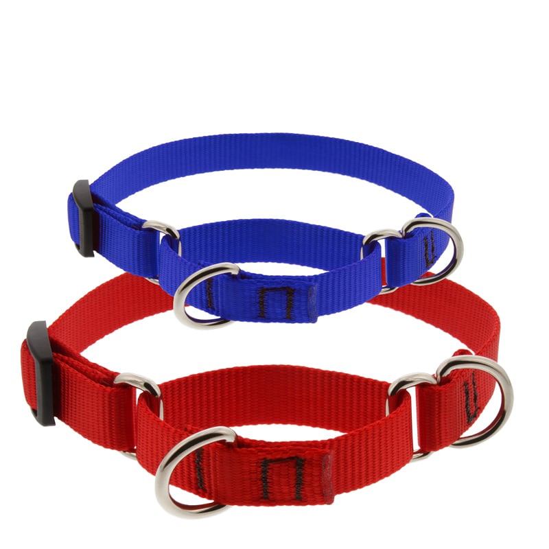 Martingale Dog Collar product image 1