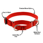 Martingale Dog Collar product image 2