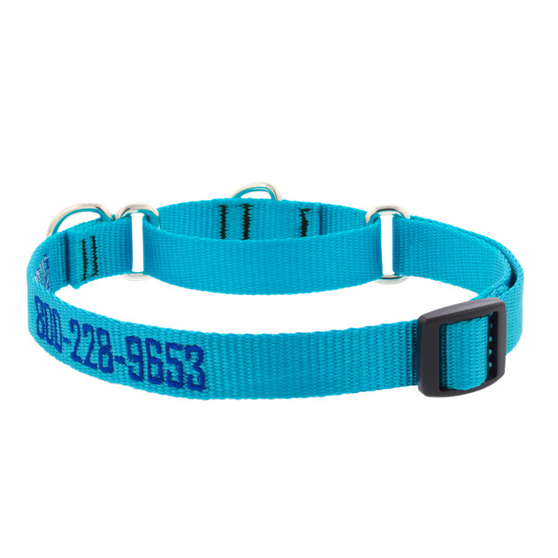 Martingale Dog Collar product image 3