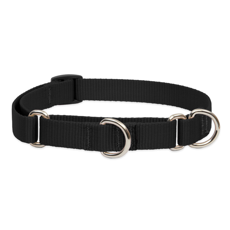 Martingale Dog Collar product image 4