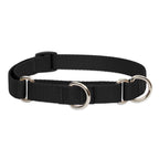 Martingale Dog Collar product image 4