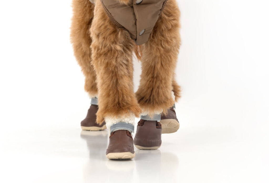 Dog Snow Boots product image 2