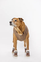 Dog Snow Boots product image 3