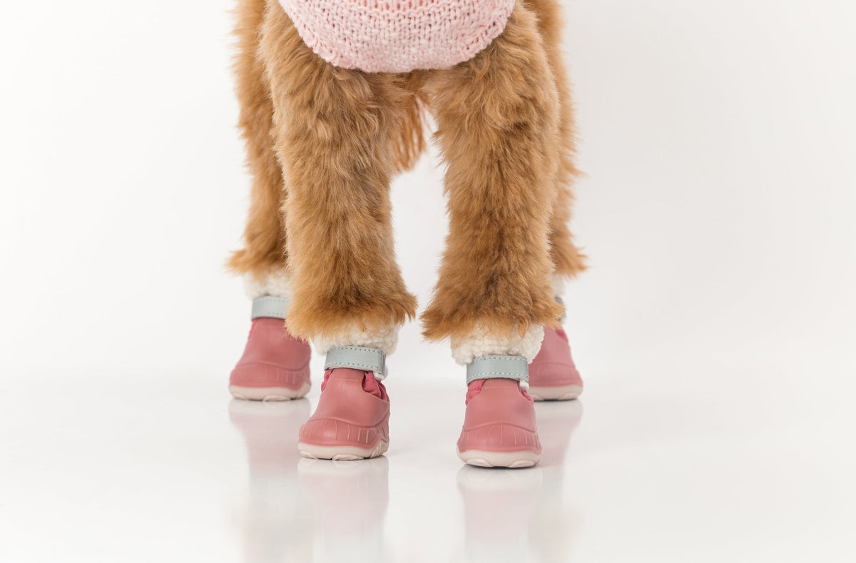 Dog Snow Boots product image 7