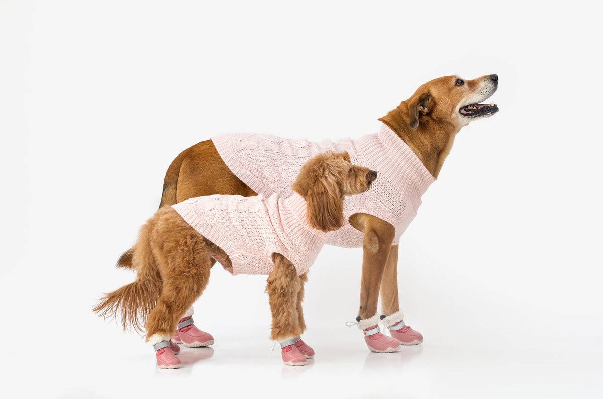 Dog Snow Boots product image 8
