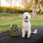 Dog Waterer product image 2