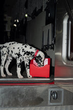Dog Waterer product image 25