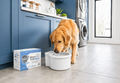 Automatic Pet Water Fountain product image 1