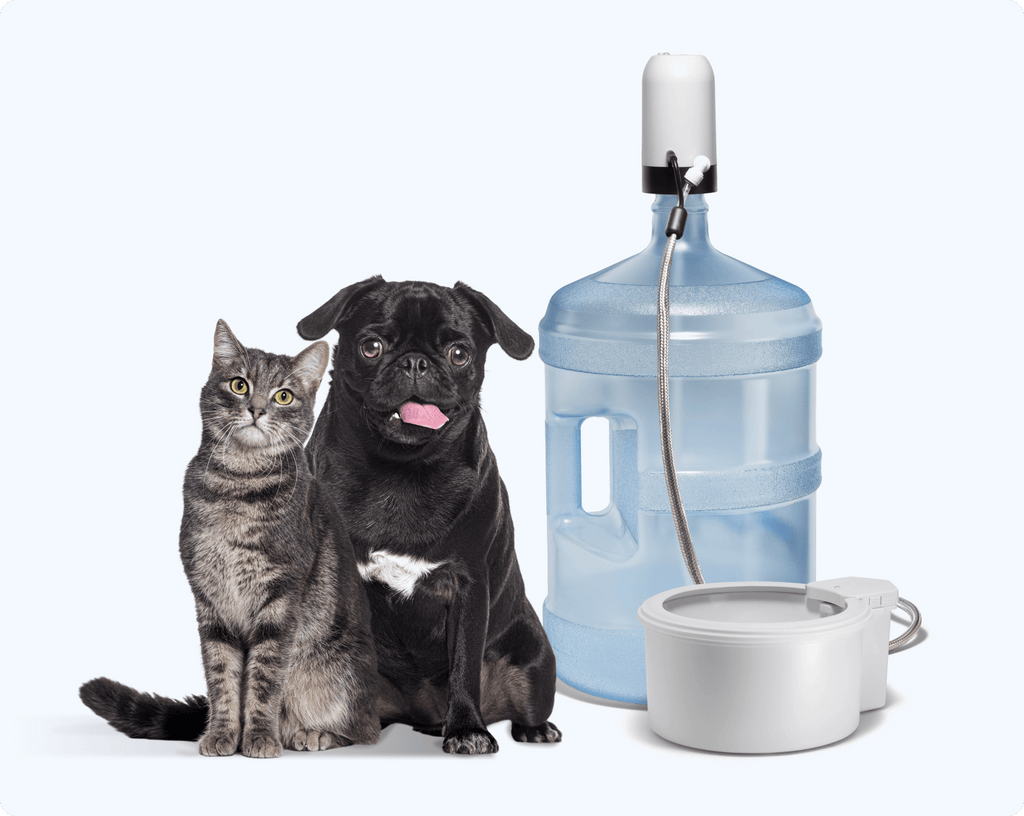 Automatic Pet Water Fountain product image 2