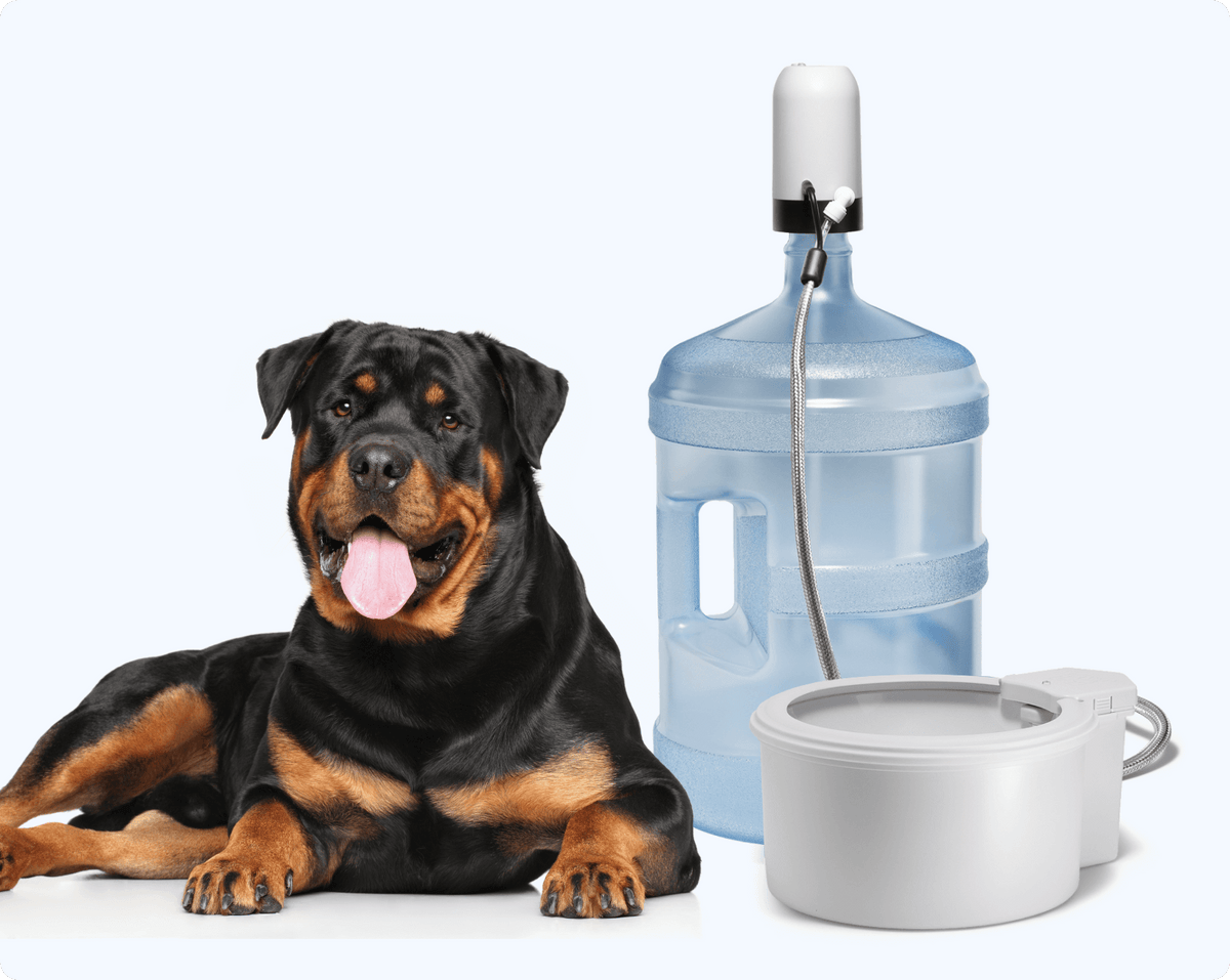 Automatic Pet Water Fountain product image 4