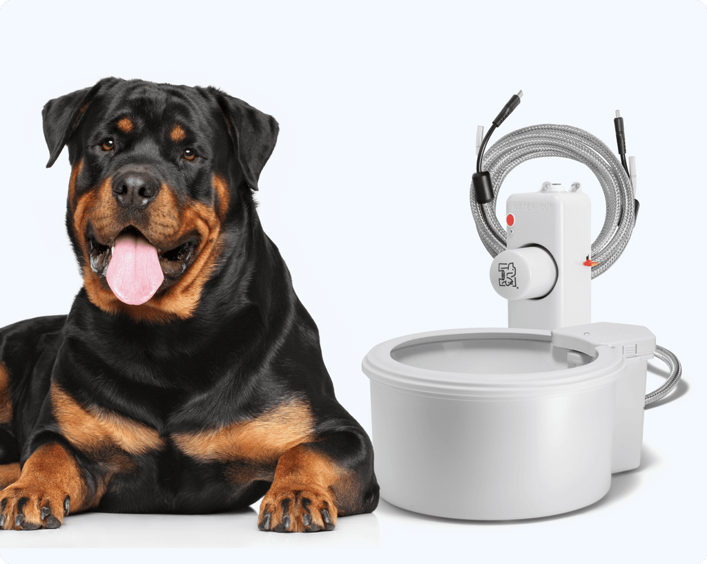 Automatic Pet Water Fountain product image 5