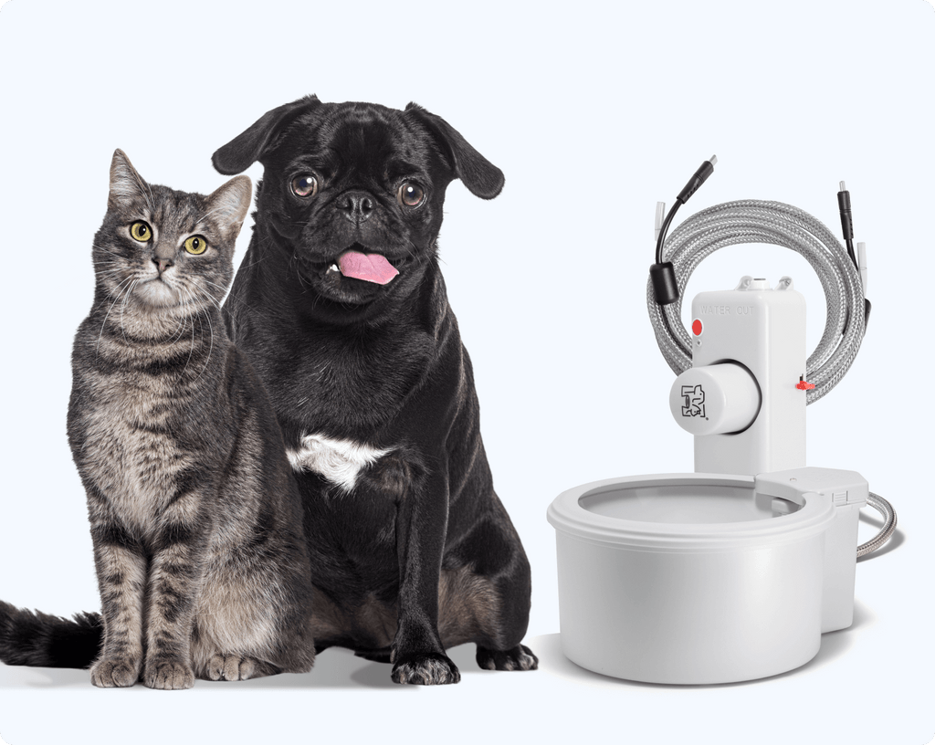 Automatic Pet Water Fountain product image 6