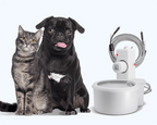 Automatic Pet Water Fountain product image 6