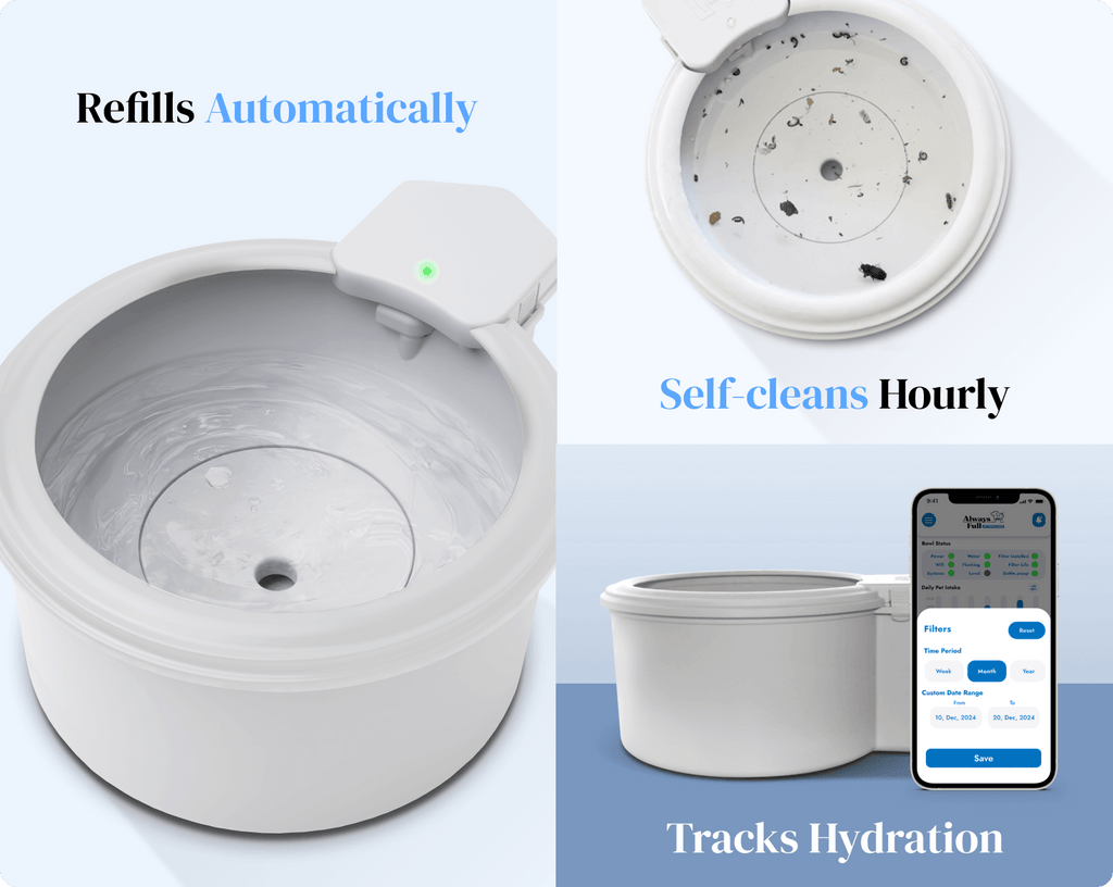 Automatic Pet Water Fountain product image 7