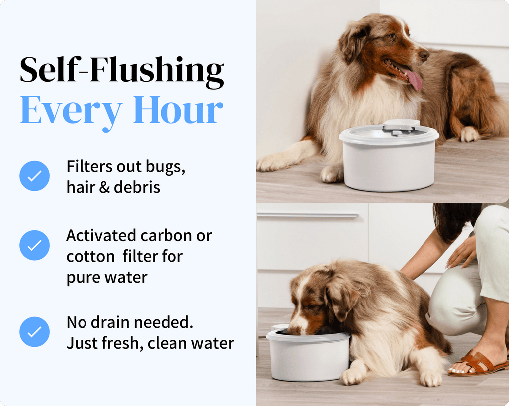 Automatic Pet Water Fountain product image 8