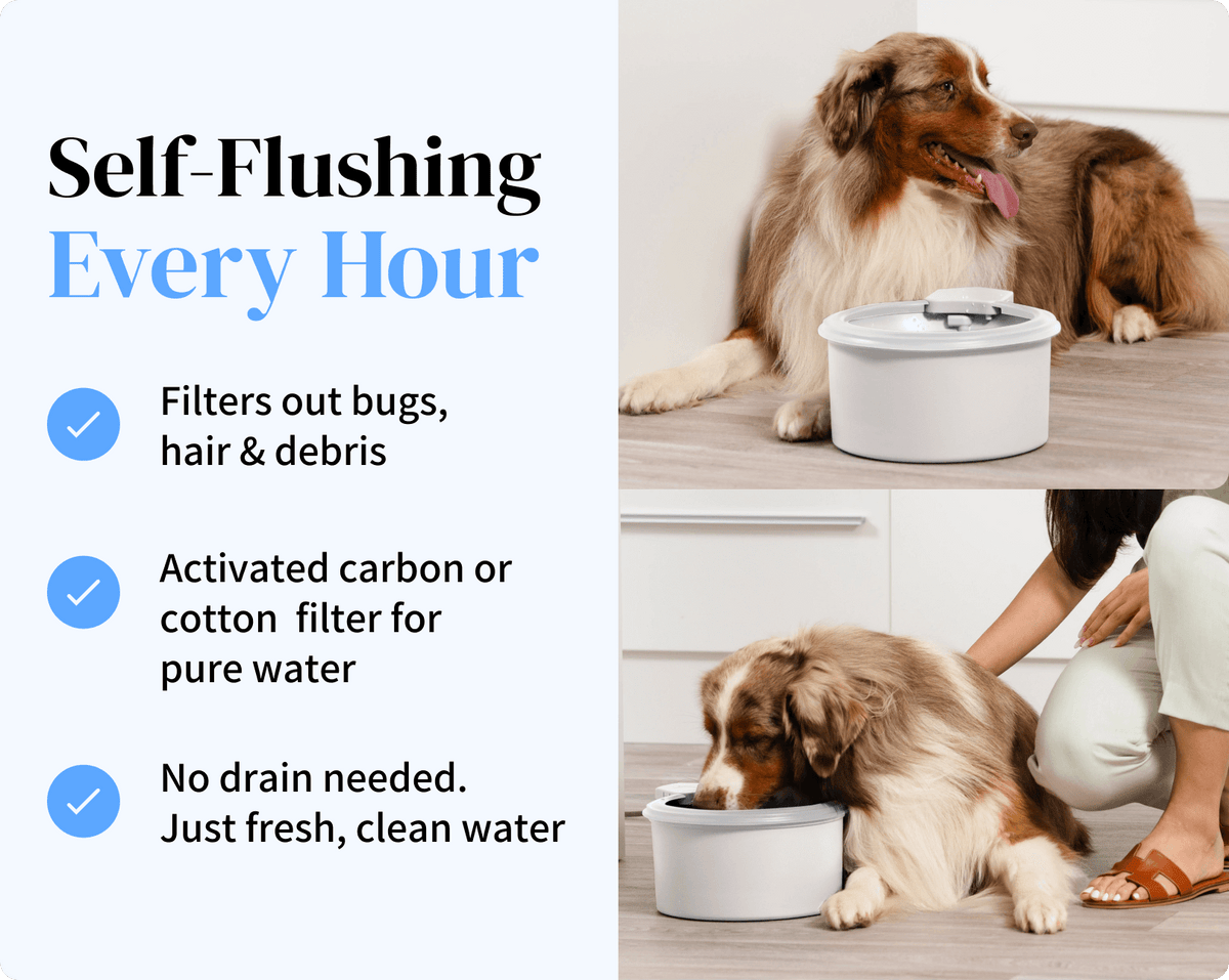 Automatic Pet Water Fountain product image 8