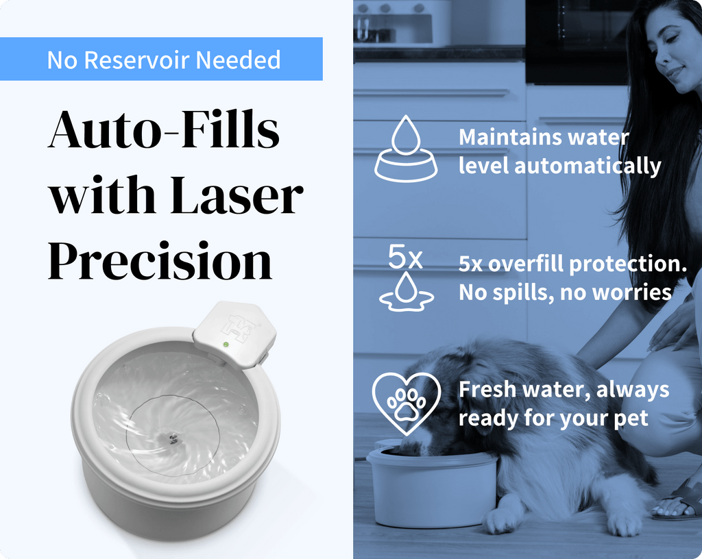 Automatic Pet Water Fountain product image 9