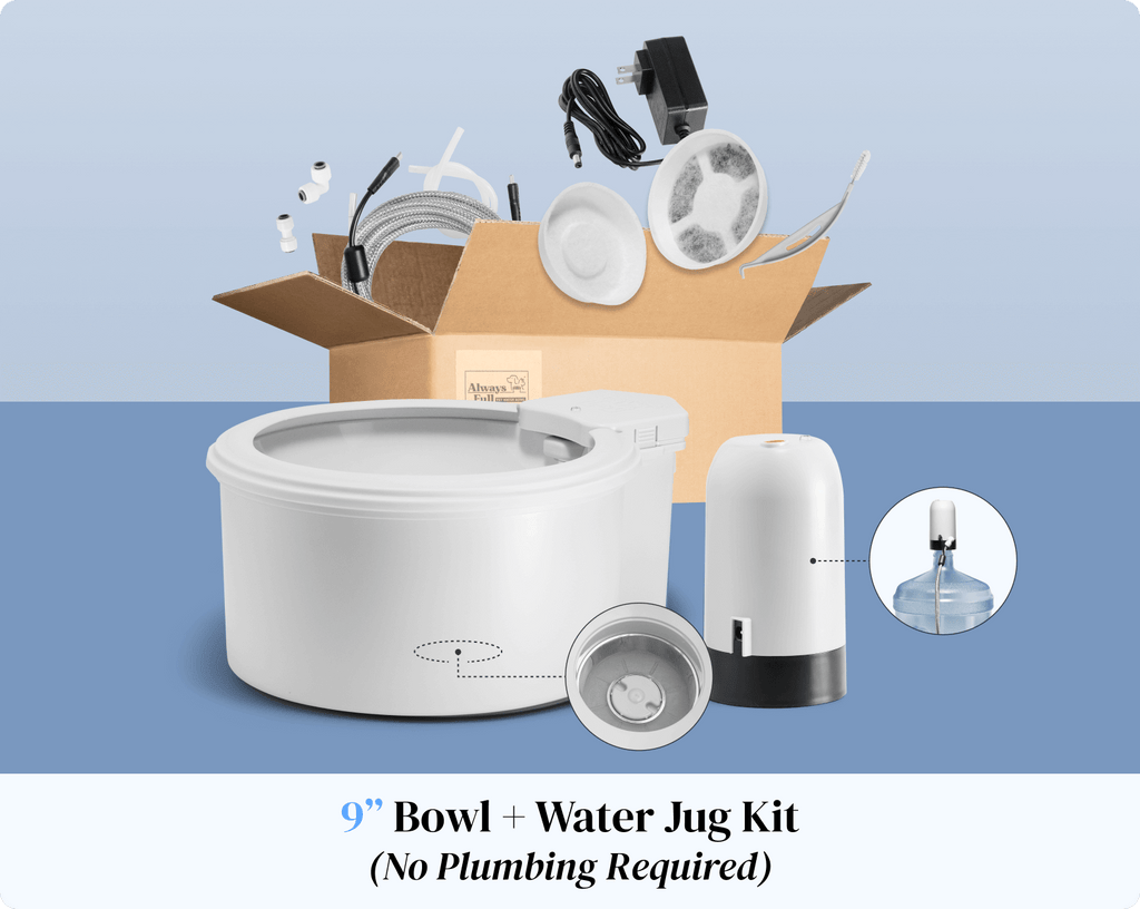 Automatic Pet Water Fountain product image 12