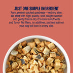 Freeze-Dried Dog Treats product image 4