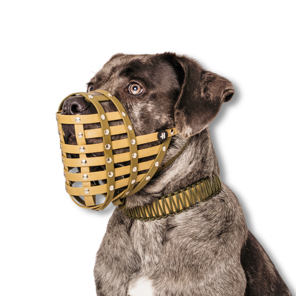 Dog Muzzle product image 1