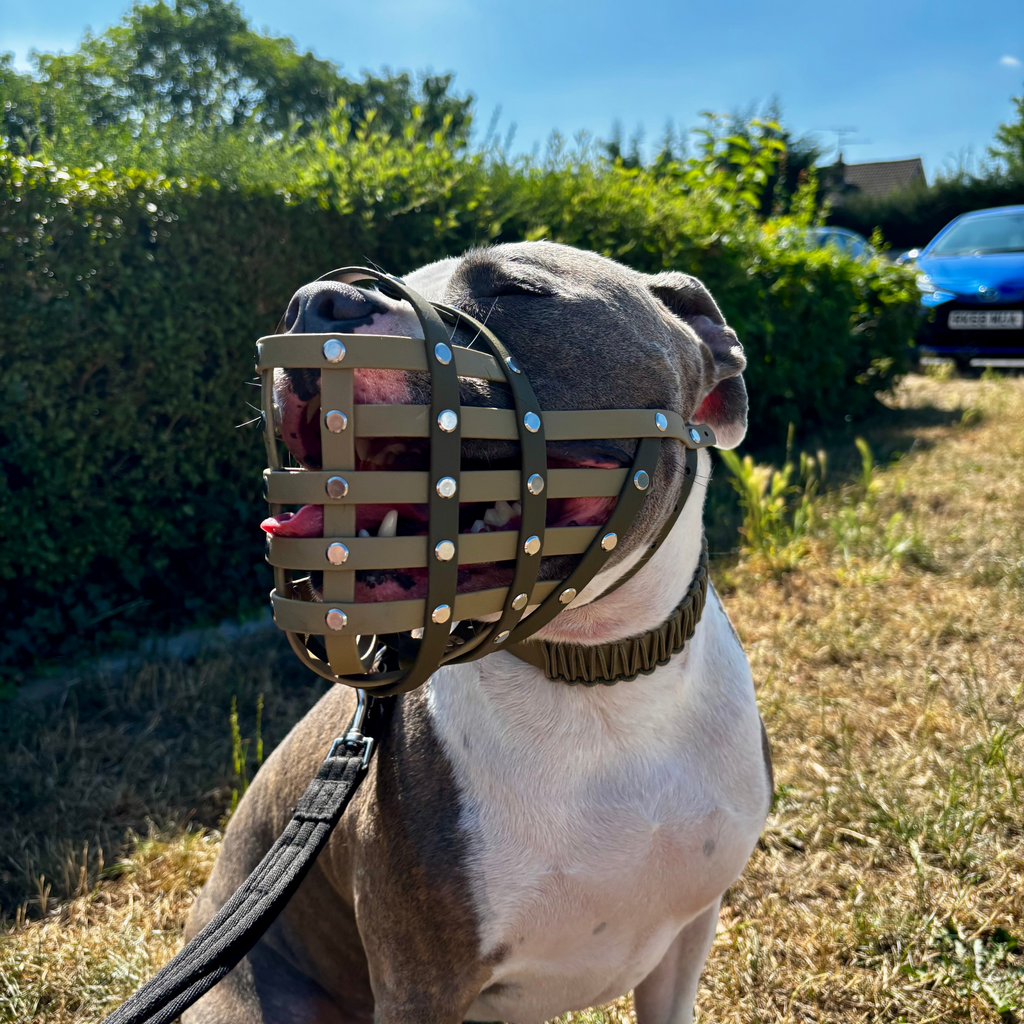 Dog Muzzle product image 2