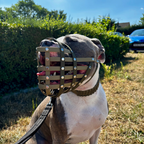 Dog Muzzle product image 2
