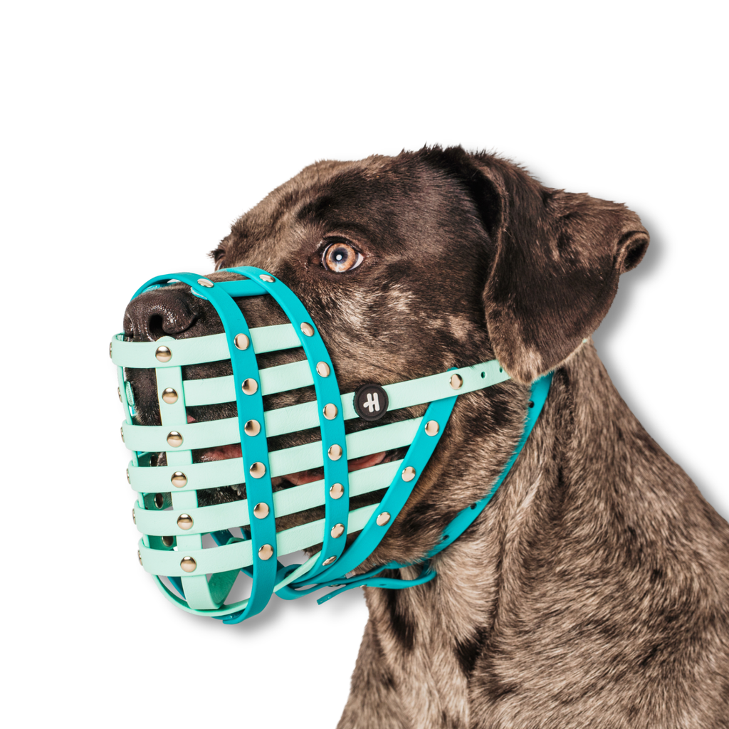 Dog Muzzle product image 4