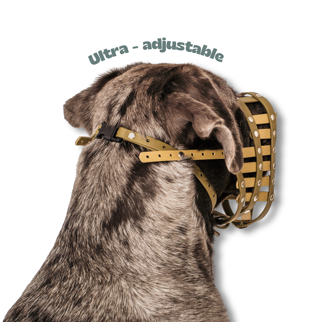 Dog Muzzle product image 7