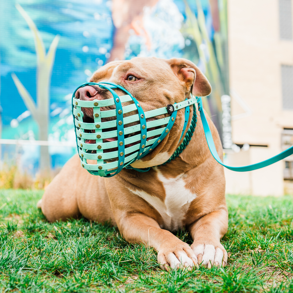 Dog Muzzle product image 1
