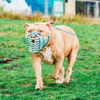 Dog Muzzle product image 2