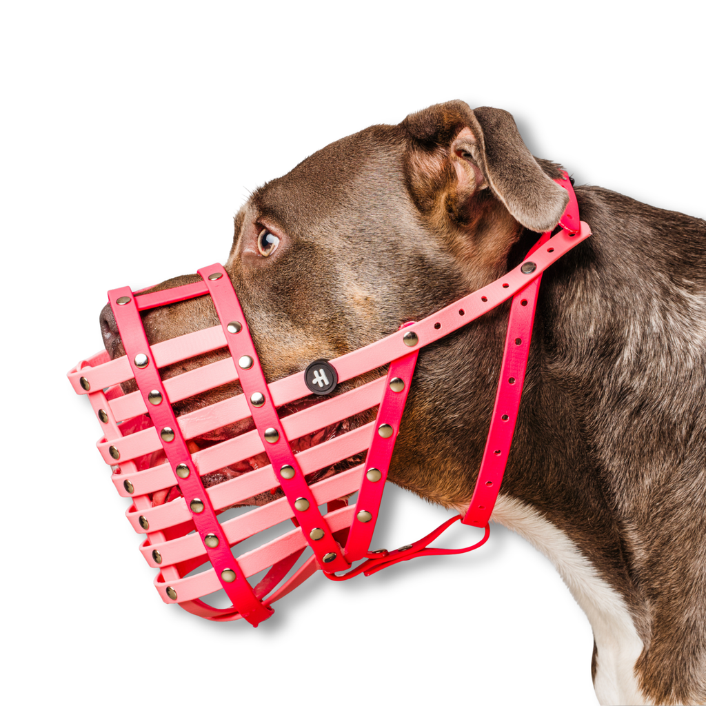 Dog Muzzle product image 5
