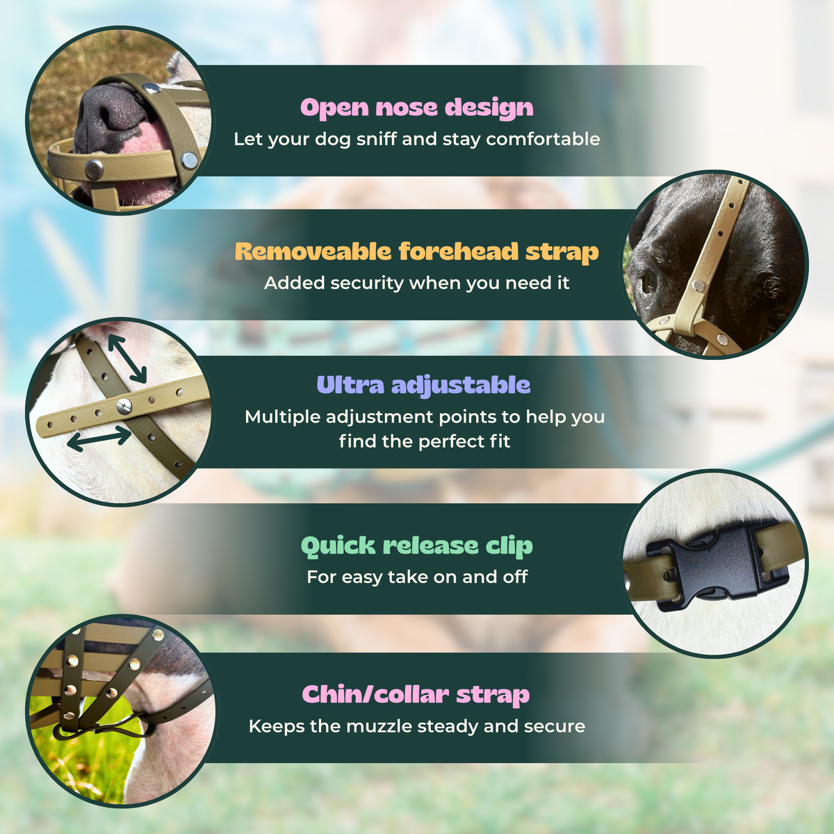 Dog Muzzle product image 7